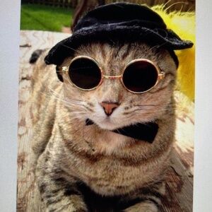 Purrrr⭐️I Found My Hat On Poshmark